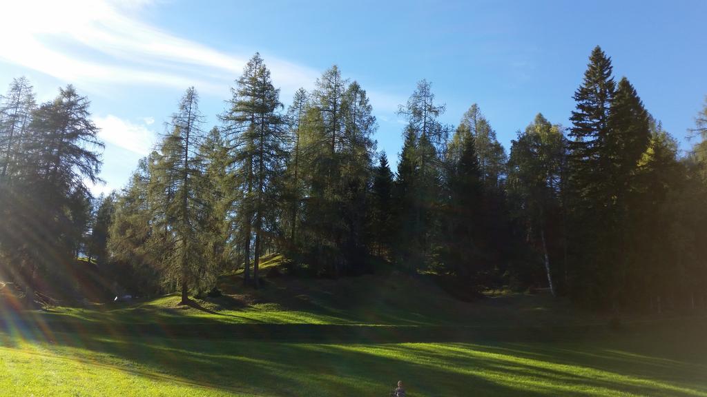Ferienwohnungen Rauth Leutasch Bagian luar foto