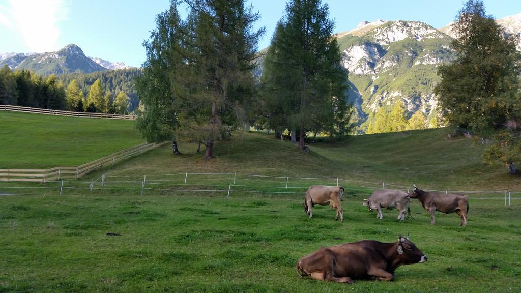 Ferienwohnungen Rauth Leutasch Bagian luar foto