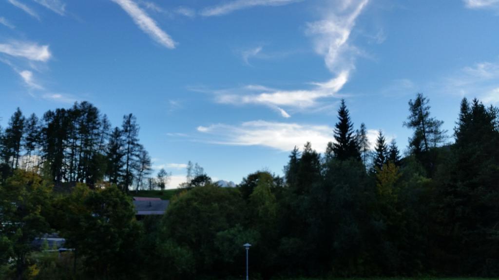 Ferienwohnungen Rauth Leutasch Bagian luar foto